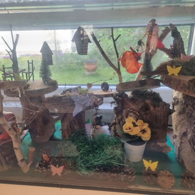 Hier wohnt unser Wichtel Jepe Hier wohnt unser Wichtel Jepe