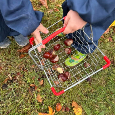 Kastanien sammeln Kastanien sammeln