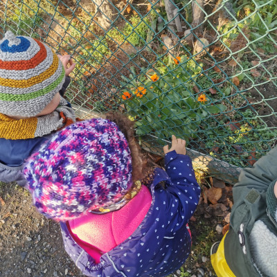 der Frühling kommt zu uns der Frühling kommt zu uns