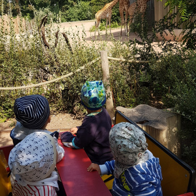 Zoo