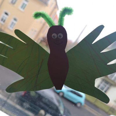 Schmetterling